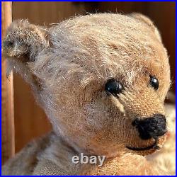 10 German Antique 1910s Early Bing Mohair Teddy Bear