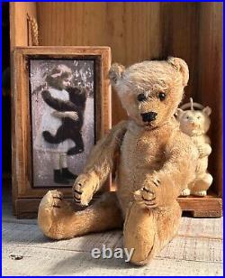 10 German Antique 1910s Early Bing Mohair Teddy Bear