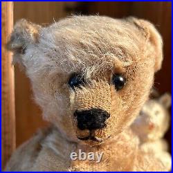 10 German Antique 1910s Early Bing Mohair Teddy Bear