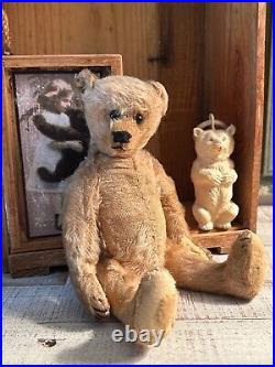 10 German Antique 1910s Early Bing Mohair Teddy Bear