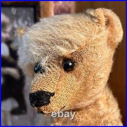 10 German Antique 1910s Early Bing Mohair Teddy Bear