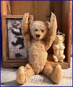 10 German Antique 1910s Early Bing Mohair Teddy Bear