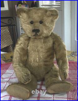 16 Steiff Like Antique German Teddy Bear Circa 1907