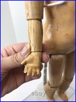 17 Antique German Bisque AM 1894 Armand Marseille Brunette Compo Body BL Eyes#L 17 Antique German Bisque AM 1894 Armand Marseille Brunette Compo Body BL Eyes#L