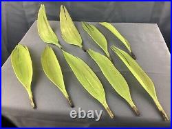 1920s Antique German Glass Bimini 12 Tulips and 9 Leaves Handblown Glass Flowers 1920s Antique German Glass Bimini 12 Tulips and 9 Leaves Handblown Glass Flowers