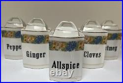 20 Piece Antique German Canister Spice Set Blue Yellow Daisies