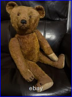 23 Antique German Bing Bear. Rare Rust Colored Mohair. Circa 1908-1915