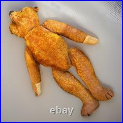 23 Antique German Bing Bear. Rare Rust Colored Mohair. Circa 1908-1915