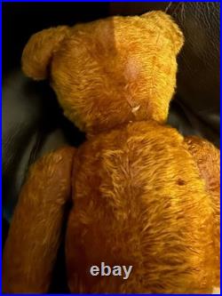 23 Antique German Bing Bear. Rare Rust Colored Mohair. Circa 1908-1915