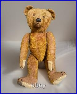 23 Antique German Bing Bear. Rare Rust Colored Mohair. Circa 1908-1915