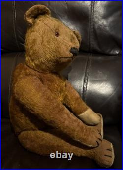 23 Antique German Bing Bear. Rare Rust Colored Mohair. Circa 1908-1915