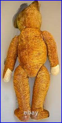 23 Antique German Bing Bear. Rare Rust Colored Mohair. Circa 1908-1915