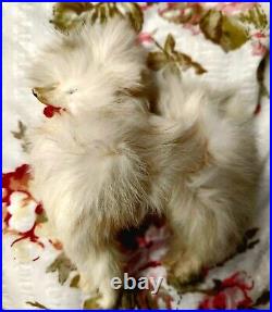 A. M 390 bisque head doll, German circa 1910/ With Doll / Antique Fur Dog/ Book A. M 390 bisque head doll, German circa 1910/ With Doll / Antique Fur Dog/ Book