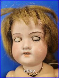 A. M 390 bisque head doll, German circa 1910/ With Doll / Antique Fur Dog/ Book A. M 390 bisque head doll, German circa 1910/ With Doll / Antique Fur Dog/ Book