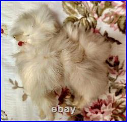 A. M 390 bisque head doll, German circa 1910/ With Doll / Antique Fur Dog/ Book A. M 390 bisque head doll, German circa 1910/ With Doll / Antique Fur Dog/ Book
