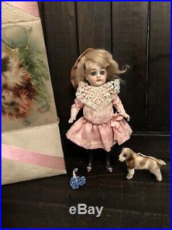 All Bisque Antique 7.5 Doll For The French Market with Companion Dog Display Box