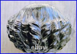 Antique 1850's 23 German China Doll Head Flat Top Covered Wagon Style Unmarked