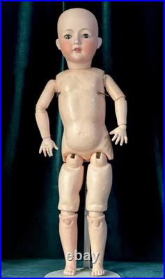 Antique German 24 Gebrüder Ohlhaver Revalo Bisque Head Doll