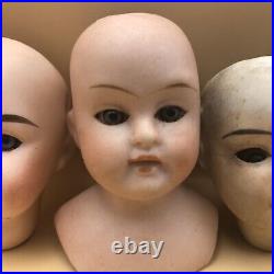 Antique German Bisque Porcelain Doll Heads Lot Of 12, 3 withGlass Eyes, 5 Marked