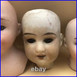 Antique German Bisque Porcelain Doll Heads Lot Of 12, 3 withGlass Eyes, 5 Marked