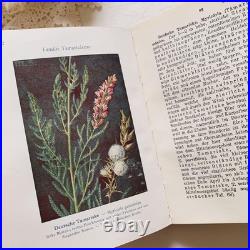 Antique German Botanical Plant Encyclopedia with 96 Color Plates, Vintage Book Antique German Botanical Plant Encyclopedia with 96 Color Plates, Vintage Book