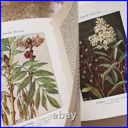 Antique German Botanical Plant Encyclopedia with 96 Color Plates, Vintage Book Antique German Botanical Plant Encyclopedia with 96 Color Plates, Vintage Book