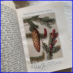 Antique German Botanical Plant Encyclopedia with 96 Color Plates, Vintage Book Antique German Botanical Plant Encyclopedia with 96 Color Plates, Vintage Book
