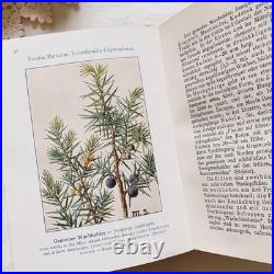 Antique German Botanical Plant Encyclopedia with 96 Color Plates, Vintage Book Antique German Botanical Plant Encyclopedia with 96 Color Plates, Vintage Book