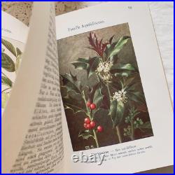 Antique German Botanical Plant Encyclopedia with 96 Color Plates, Vintage Book Antique German Botanical Plant Encyclopedia with 96 Color Plates, Vintage Book