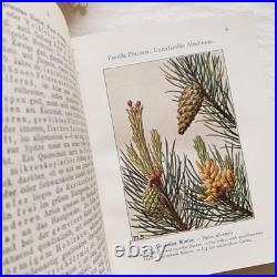 Antique German Botanical Plant Encyclopedia with 96 Color Plates, Vintage Book Antique German Botanical Plant Encyclopedia with 96 Color Plates, Vintage Book