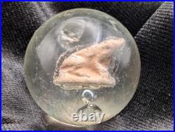Antique German Handmade Sulphide Marble Frog Figure UNPOLISHED UV 1.18 1-3/16 Antique German Handmade Sulphide Marble Frog Figure UNPOLISHED UV 1.18 1-3/16
