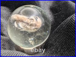 Antique German Handmade Sulphide Marble Frog Figure UNPOLISHED UV 1.18 1-3/16 Antique German Handmade Sulphide Marble Frog Figure UNPOLISHED UV 1.18 1-3/16