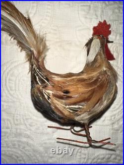 Antique German Miniature Figural Roosters With Real Feathers Wire Feet Antique German Miniature Figural Roosters With Real Feathers Wire Feet