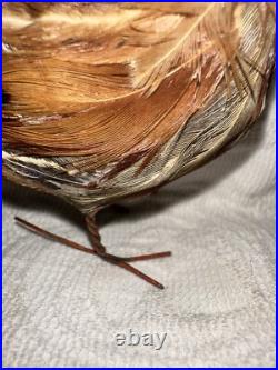Antique German Miniature Figural Roosters With Real Feathers Wire Feet Antique German Miniature Figural Roosters With Real Feathers Wire Feet