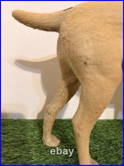 Antique German Papier Mache Dog Candy Container Glass Eyes Removable Head 14