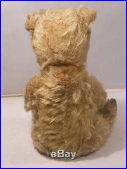 Antique Vintage Jointed Teddy Bear German 12 Inches Tall