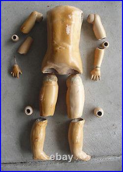 BIG Vintage 1920s German Composition Jointed Doll Body Arms Legs 17 1/2 Tall