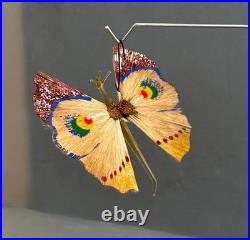 Beautiful Antique Butterfly Annealed Glass Hand painted Spun Glass Wings German