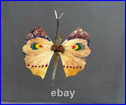 Beautiful Antique Butterfly Annealed Glass Hand painted Spun Glass Wings German