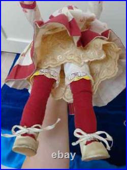 Beautiful antique doll with lovely dolldress
