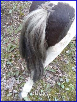Early Primitive 1800s German Straw Stuffed Mohair Horse Wooden Mouth & Legs Early Primitive 1800s German Straw Stuffed Mohair Horse Wooden Mouth & Legs