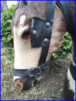 Early Primitive 1800s German Straw Stuffed Mohair Horse Wooden Mouth & Legs Early Primitive 1800s German Straw Stuffed Mohair Horse Wooden Mouth & Legs