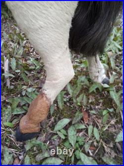 Early Primitive 1800s German Straw Stuffed Mohair Horse Wooden Mouth & Legs Early Primitive 1800s German Straw Stuffed Mohair Horse Wooden Mouth & Legs