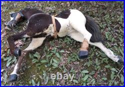 Early Primitive 1800s German Straw Stuffed Mohair Horse Wooden Mouth & Legs Early Primitive 1800s German Straw Stuffed Mohair Horse Wooden Mouth & Legs