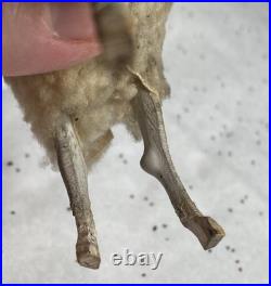 Early antique vintage putz german wooly sheep ram stick legs