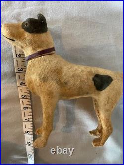 GREAT Antique German Paper Mache Jack Russell Dog Candy Container