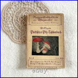 German 1910 Mushroom Botanical Illustration Book Vintage Antique Fraktur Condit