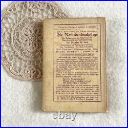 German 1910 Mushroom Botanical Illustration Book Vintage Antique Fraktur Condit