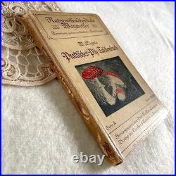 German 1910 Mushroom Botanical Illustration Book Vintage Antique Fraktur Condit
