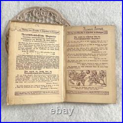 German 1910 Mushroom Botanical Illustration Book Vintage Antique Fraktur Condit